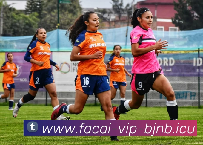 九游体育服务体系